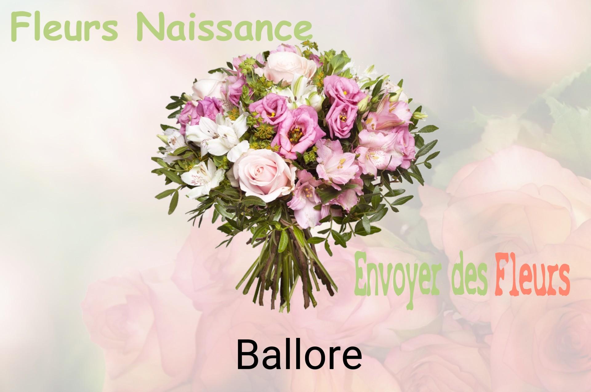 Bouquet de fleurs de naissance livré à Ballore
